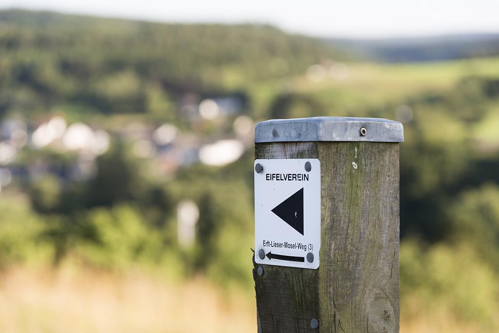 Ferienwohnung Zum Pinken Schaf Ahrdorf Exterior foto